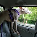 Profile Picture of Cheryl Ayers (@cheryl.ayers22215) on Instagram