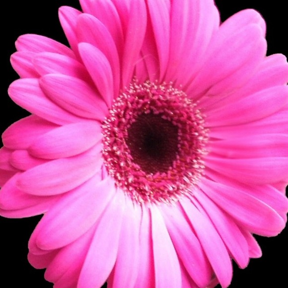 Profile Picture of Kate Flint (@kateflint) on Poshmark