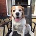 Profile Picture of Nathaniel Grant (@Nathnial) on Pinterest