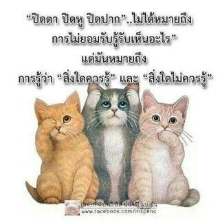 Profile Picture of Peter Sink Baiyai (@petersink.baiyai) on Facebook