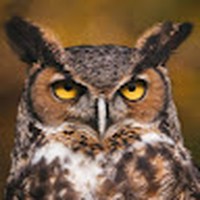 Profile Picture of Erik Karlson (@erik-karlson-3) on Quora