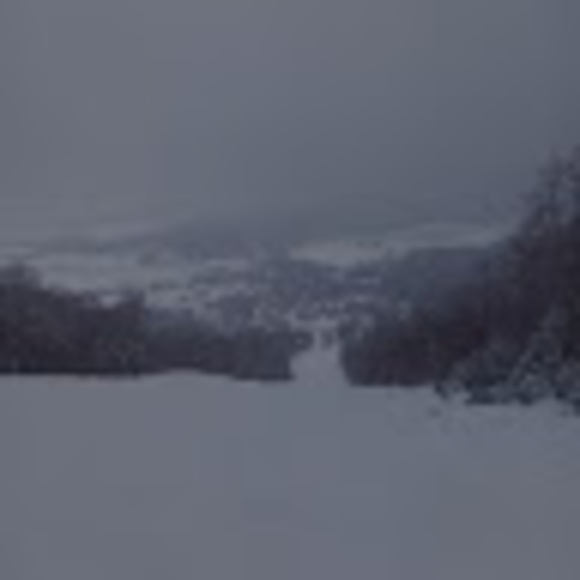 Profile Picture of Louis Belleville (@louisbelleville) on Poshmark