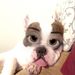 Profile Picture of Krystal Verdugo (@kstyle214) on Pinterest