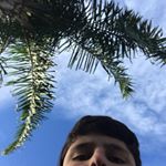 Profile Picture of Brendan Parrish (@brenp4) on Instagram