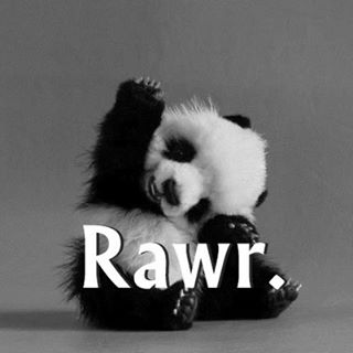 Profile Picture of Alexia Becerra (@Alexia-Becerra) on Facebook