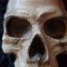 Profile Picture of David Kilroy (@david.kilroy.946) on Facebook