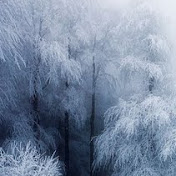 Profile Picture of Seth Cook (@sethcook6072) on Youtube