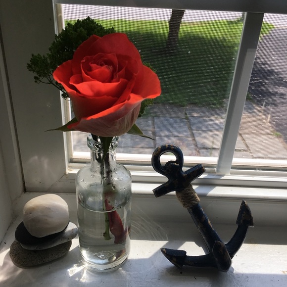 Jessica Bogusch - Poshmark Profile Picture of Jessica Bogusch (@jessicamarie339) on Poshmark