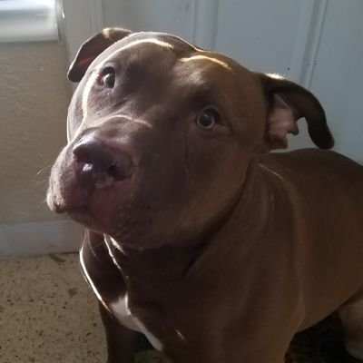Profile Picture of Jeff_T_29 (@Coach_tabora) on Twitter