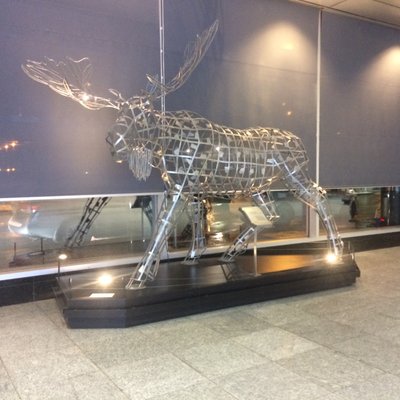 Profile Picture of John Lion (@JohnLio03413505) on Twitter