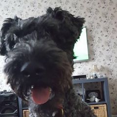 Profile Picture of Jim Bates (@@jimbates6) on Tiktok