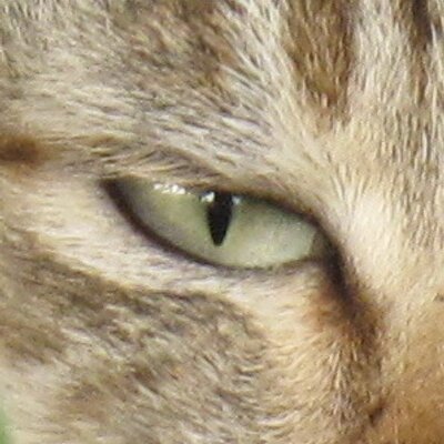 Profile Picture of Chris Tsoi (@ChrisTsoi) on Twitter