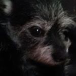 Profile Picture of David Vanpelt (@davidvanpelt881969) on Instagram