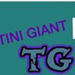 Profile Picture of Joshua Boggess (@tinigiant056) on Instagram