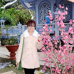 Profile Picture of Nguyen Mai Dong Ho (@donghoc3) on Flickr