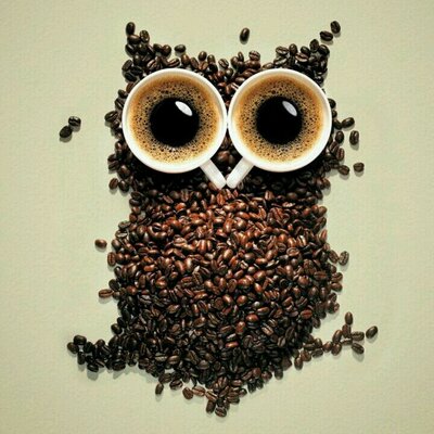 Profile Picture of Devin M (@macdougall88) on Twitter