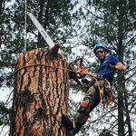 Profile Picture of Kyle Groom (@kylegroom) on Instagram