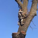 Profile Picture of Albert DeSilva (@albert.desilva) on Instagram