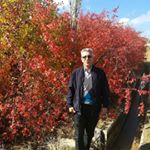 Profile Picture of iraj_fd (@iraj_fardmanesh) on Instagram