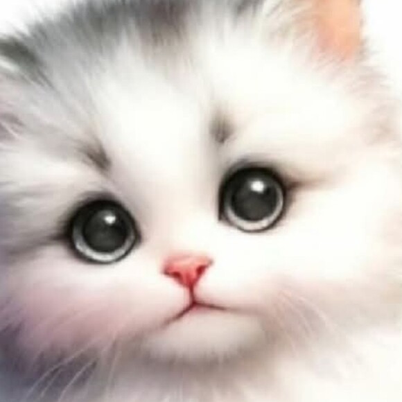 Profile Picture of Farris Jane (@farrisjane) on Poshmark