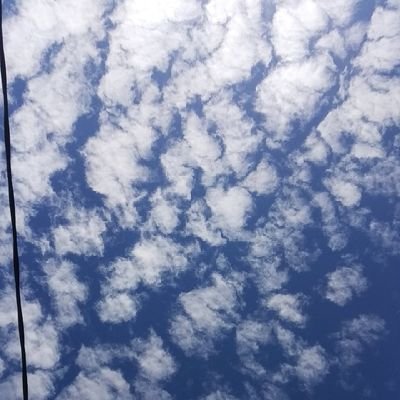 Christy Toding - Twitter Profile Picture of Christy Toding (@YBenoite) on Twitter