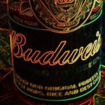 Profile Picture of Jared Gunter (@dylans.dad007) on Instagram