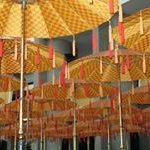 Profile Picture of Ray Salter (@raysalternz) on Instagram