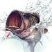 Profile Picture of Scott Hill (@shill1998) on Pinterest