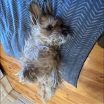 Profile Picture of Ruby Barrett (@ruby.barrett.71404) on Facebook