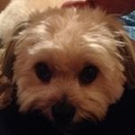 Profile Picture of Ethan Matthew Hamburg (@emhamburg) on Instagram