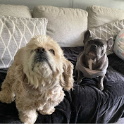 Profile Picture of Dylan Bogart (@dylanbogart6233) on Youtube