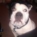 Profile Picture of Jon Scadden (@jon.scadden.3) on Facebook