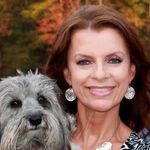 Profile Picture of Sandy Wade -writer (@sandy_wade_writer) on Instagram