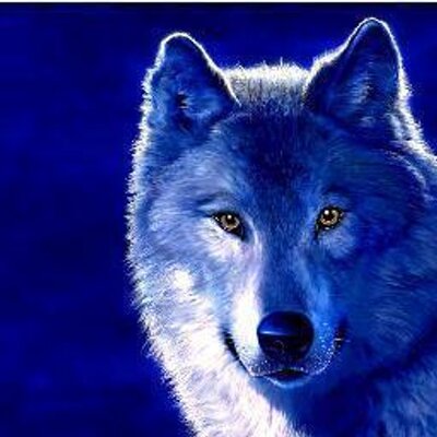 Profile Picture of Trent G. Schulte (@TrentGSchulte3) on Twitter