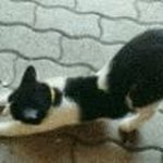 Profile Picture of Brianna Dungan (@dungan5879) on Instagram