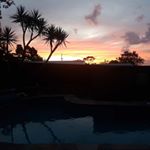 Profile Picture of Damien Hansen (@damohandstand) on Instagram