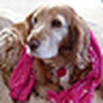 Profile Picture of Kristy-lee Jaffray (@kristybombisty) on Flickr
