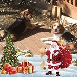 Profile Picture of Jean Wiseman Harrison (@randjeanharrison) on Instagram