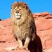 Profile Picture of Simon Gamboa (@simon.gamboa.104) on Facebook