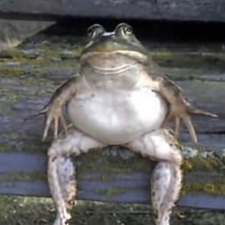 Profile Picture of Andrew Loughlin (@andrew_loughlin) on Tiktok