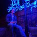 Profile Picture of Jared Stewart (@jared.stewart.165) on Facebook