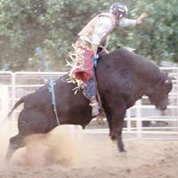 Nick DiGiorgio - Pinterest Profile Picture of Nick DiGiorgio (@didgie5) on Pinterest