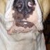 Profile Picture of Bruce Staggs (@bruce.staggs.568) on Facebook