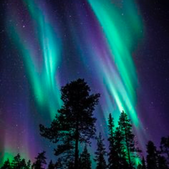 Profile Picture of Jennifer Newgard (@lady_katy) on Poshmark