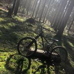 Profile Picture of Paul Ostendorf (@paul.ostendorf06) on Instagram