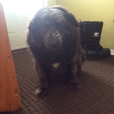 Profile Picture of Ben Hartwick (@benhartwick9) on Twitter