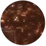 Profile Picture of 𝓝𝚊𝚝𝚑𝚊𝚗 𝓒𝚘𝚛𝚍𝚘𝚟𝚊 (@nathancordova1) on Instagram