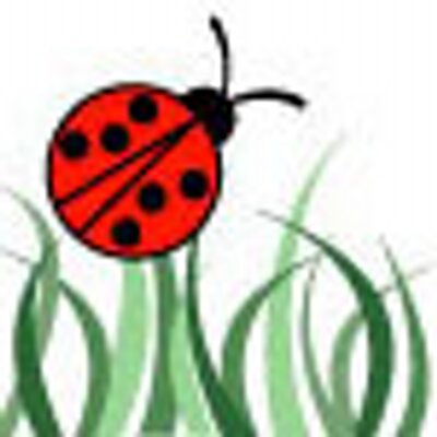 Profile Picture of Cindy Leach (@ladybugdesigns1) on Twitter