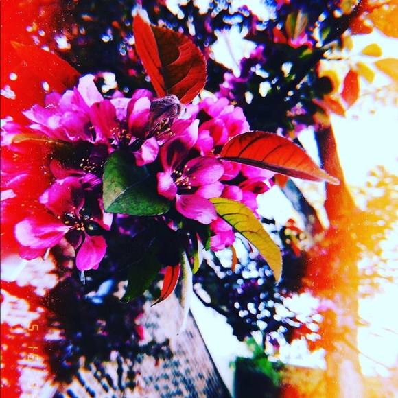 Profile Picture of Christian Mendieta (@chris205624) on Poshmark