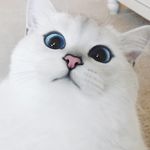 Profile Picture of Angel Murphree (@followheatherthesaber) on Instagram